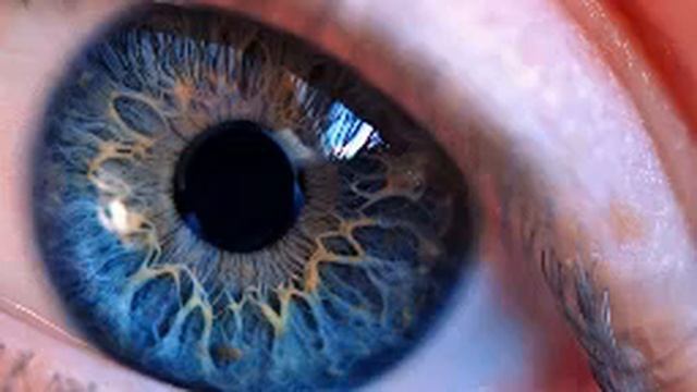 12. КАК ЦВЕТ ГЛАЗ ВЛИЯЕТ НА ТЕБЯ смотреть онлайн