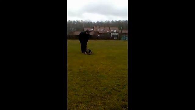 Firesilver Amaterasu Sun Goddess