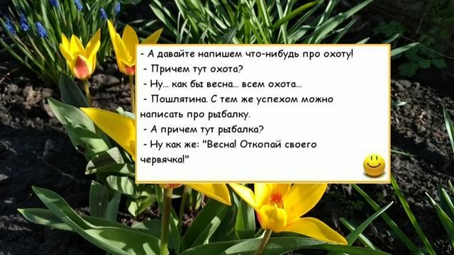 ?Анекдоты/весна/ улыбнитесь ? смотреть онлайн