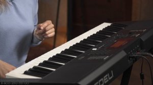Доступный синтезатор с автоаккомпанементом MEDELI MK200