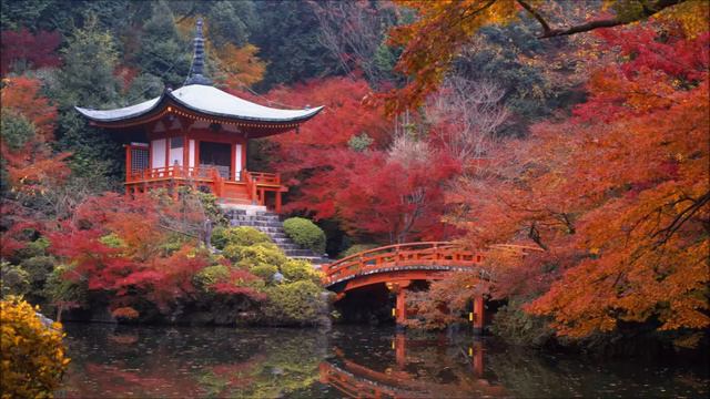 Beautiful Japan (Piano Improvisation) смотреть онлайн