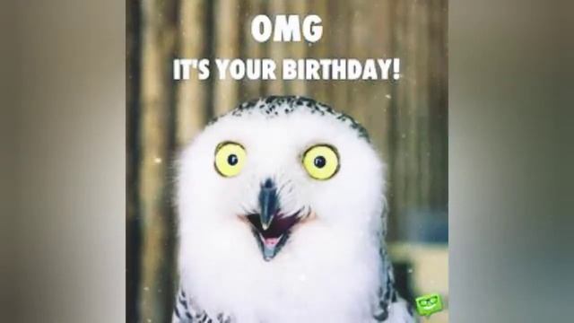 DIVA B BIRTHDAY DJ SASS MIX смотреть онлайн