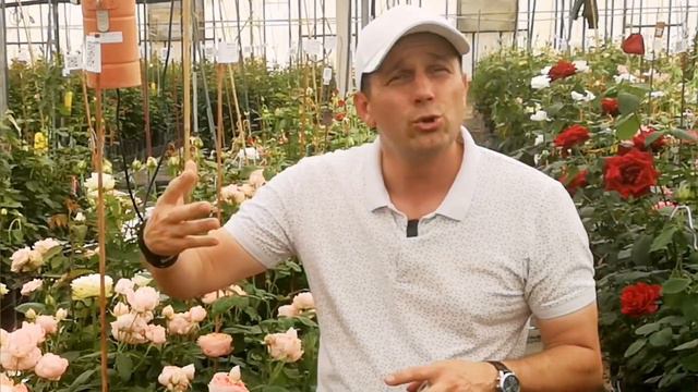 Comment créer sa propre variété de rosier ? avec Matthias Meilland, rosiériste смотреть онлайн