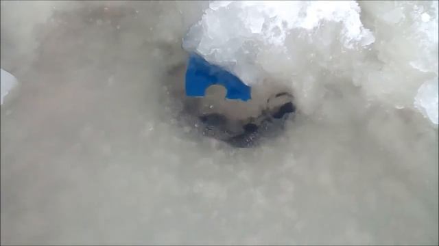 Прет воду из-подо льда смотреть онлайн