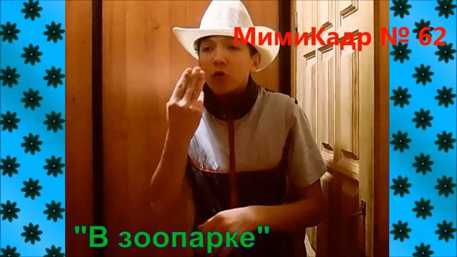 МимиКадр № 62 Чучело Зоопарк На лыжах смотреть онлайн