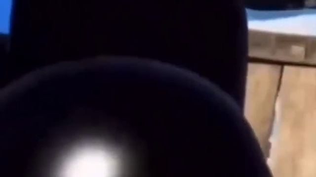 Among Us Big Booty Twerking Try Not To Cream Yourself смотреть онлайн