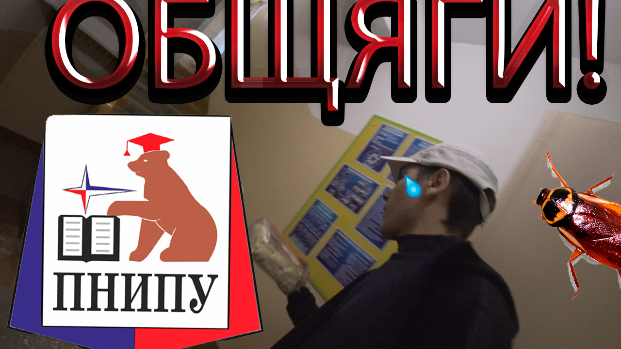 ТАРАКАНЫ ЗА**ЛИ !? // ОБЩАГИ В ПЕРМИ !? // СУРОВАЯ РЕАЛЬНОСТЬ!? смотреть онлайн