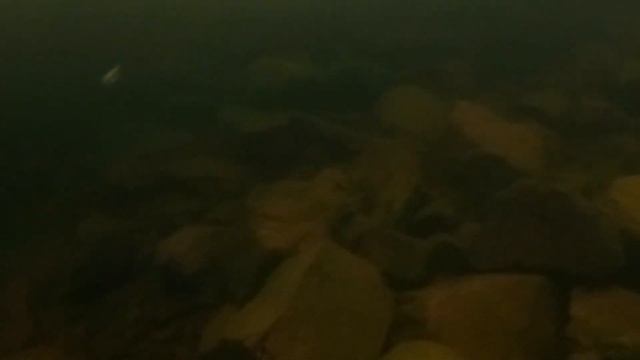 Собираю блесна на реке Колвица Кандалакшский район Мурманская область смотреть онлайн