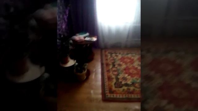 побег от кота киборга смотреть онлайн