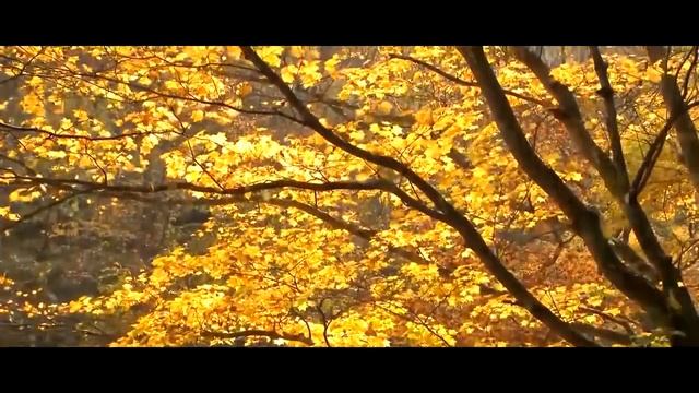День памяти Пушкина. Мирновский ДК, г. Евпатория. 10.02.2023 смотреть онлайн