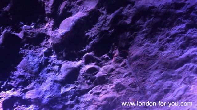 Выпуск 359 Легендарная пещера Вуки Хол / Wookey Hole Caves смотреть онлайн