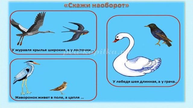 Весна. Перелетные птицы. смотреть онлайн