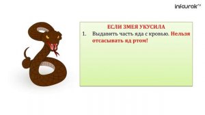 Первая медицинская помощь при получении травм в походе | Классные часы и ОБЖ #66 | Инфоурок
