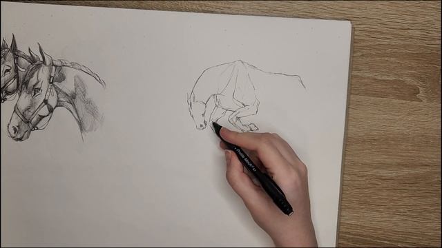 Творческие учебные грани