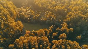 Расслабляющая музыка с пением птиц - красивая фортепианная музыка и гитарная музыка