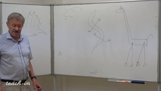 Корзун Л. П. - Зоология позвоночных - Класс Млекопитающие (Mammalia). Часть 2 смотреть онлайн