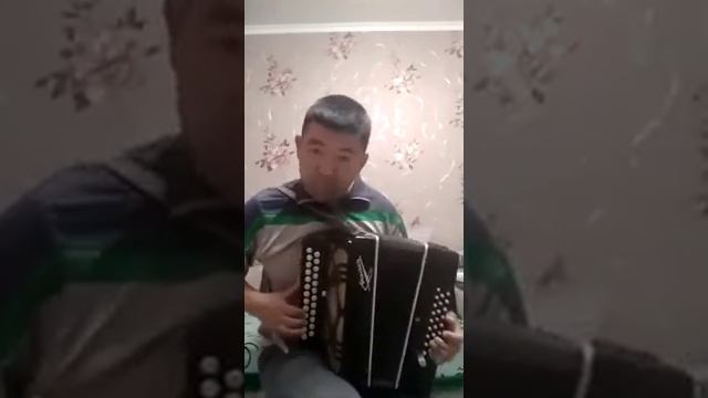 Супер гармонист Илгиз Юлдашбаев. Мордовский танец. смотреть онлайн