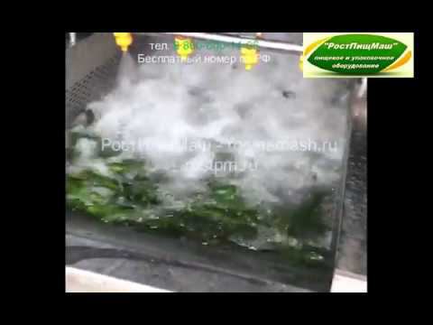 Линия мойки огурцов от РостПищМаш смотреть онлайн