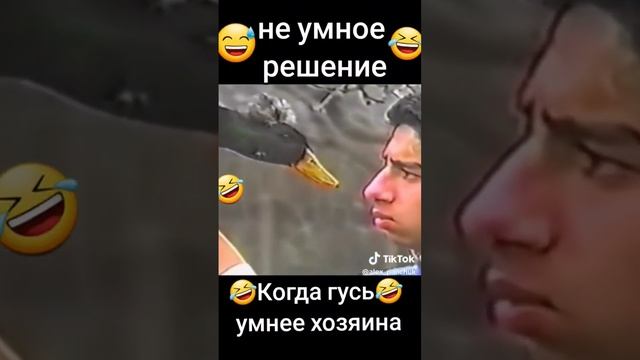 гусь и осёл #анекдоты #мем #комедия #смех #хаха #гусь смотреть онлайн