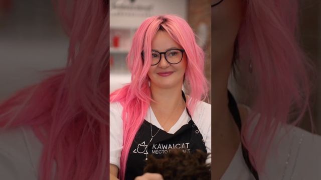 Пой в любой непонятной ситуации смотреть онлайн