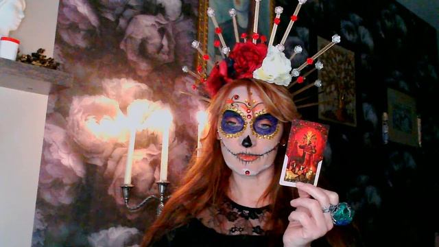 Нелловен.ПРЯМАЯ трансляция смотреть онлайн