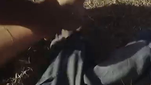 Dupont Lajoie (1975)