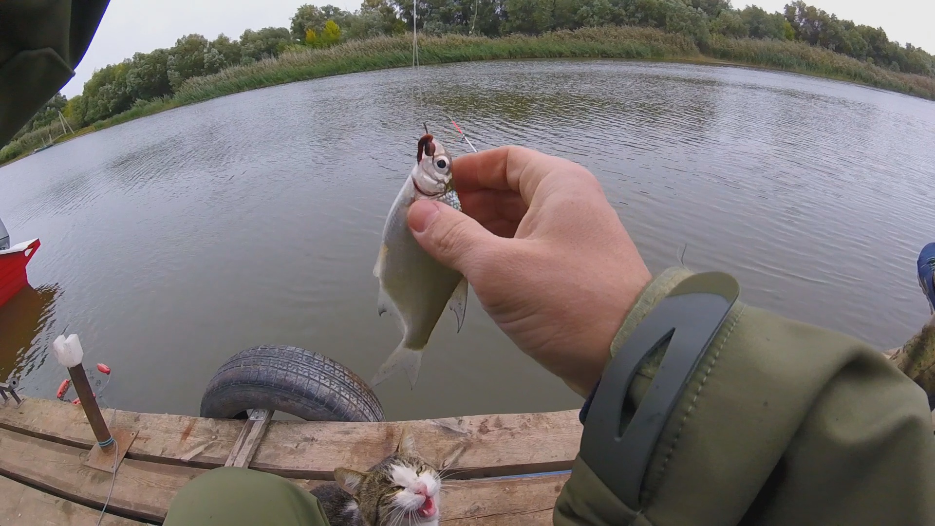 Астрахань Рыбалка Отдых для души часть 1 Осень 2021 сборы, дорога, первый улов #владимиррадеев