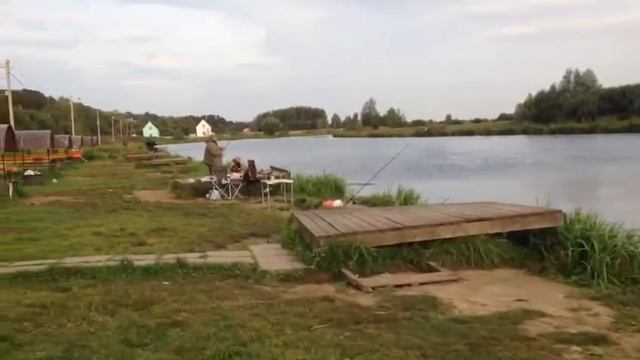 Карп в Стрелецком 17/09- 1 смотреть онлайн