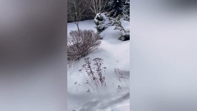 Метарсам аз он рузе ки ин ходиса бар сари хамватанони мо низ наояд 😞 смотреть онлайн