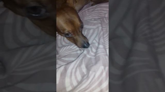 Супер Нора смотреть онлайн