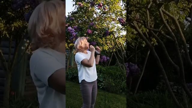 "Я ЛЮБИЛА"- Алена Шестак (кавер)(из репертуара Лены Василек) смотреть онлайн