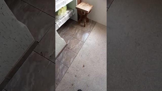 Как избавиться от трещин на печке. смотреть онлайн