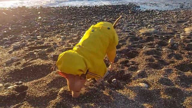 Дождевик смотреть онлайн