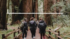 МИСРИЯТ - НЕТ НАС  2024