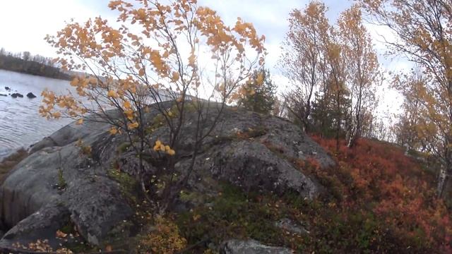 Проверил сетку на корюшку!Нашёл стоянку древних примерно11-13т.л.д.н.э смотреть онлайн