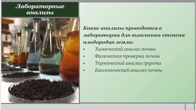 Онлайн урок на тему "Плодородие почвы" смотреть онлайн