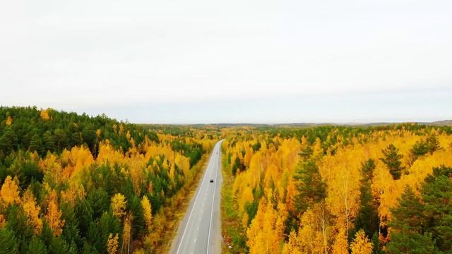 Красивый Урал. Трасса Екатеринбург - Нижний Тагил. Осенние виды. смотреть онлайн