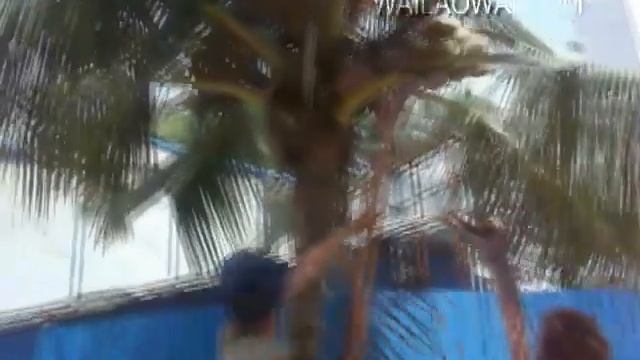 Как достать кокос | How to get coconut смотреть онлайн