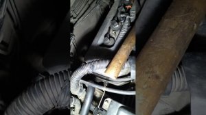 Особенности снятия и установки насоса гидроусилителя руля виста ардео