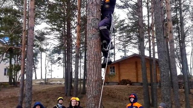 Промальп. Арбористика. Подъем на дерево смотреть онлайн