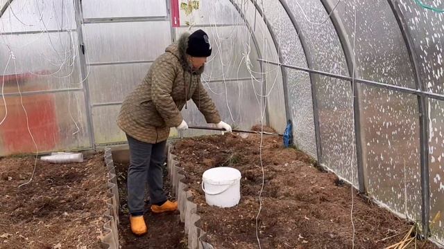 Не забудьте намыть теплицу. Подготовка к следующему сезону. Сбор последнего урожая.
