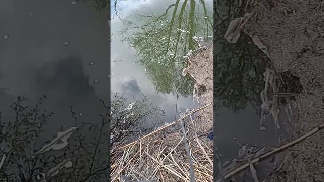 Рыбалка. Ловля рыбы на косынку. Плотва весной смотреть онлайн