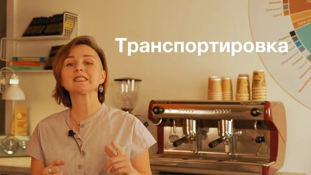 ВВЕДЕНИЕ в Курс "Начинающий бариста" смотреть онлайн