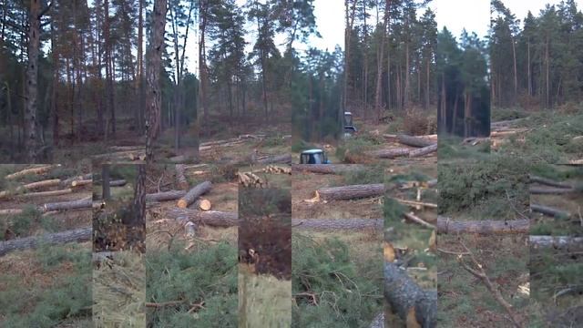 MTZ 82.1 in forest смотреть онлайн