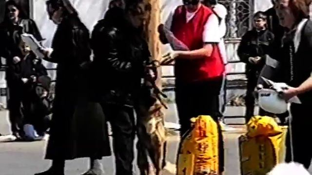 Домашний Зоосад 2001 /Выставка Звёзды Дальнего Востока/ смотреть онлайн