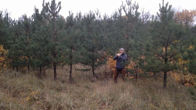 Spill på bukkehorn смотреть онлайн