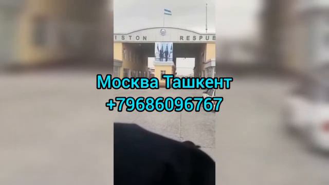 Питер Рязань Москва Ташкент такси автобус смотреть онлайн