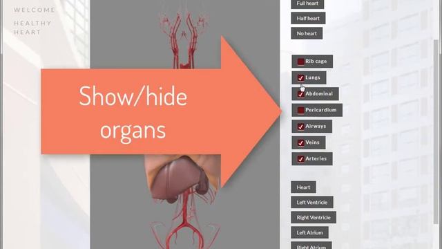 Anatomical configurator with Sketchfab смотреть онлайн
