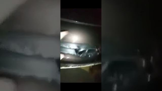 Бродячие собаки изуродовали легковую машину в Астрахани смотреть онлайн