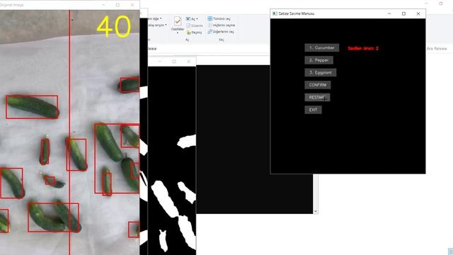 Vegetable detection and counting on the conveyor belt using OpenCV (C++) and GUI смотреть онлайн